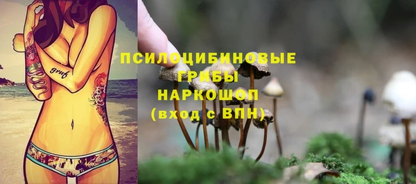 ALPHA-PVP Бежецк