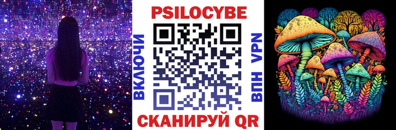 где найти наркотики Улан-Удэ Псилоцибиновые грибы GOLDEN TEACHER