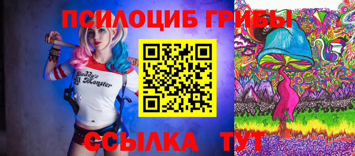 Улан-Удэ  Галлюциногенные грибы Psilocybine cubensis  Галлюциногенные грибы MAGIC MUSHROOMS  Вход с VPN 